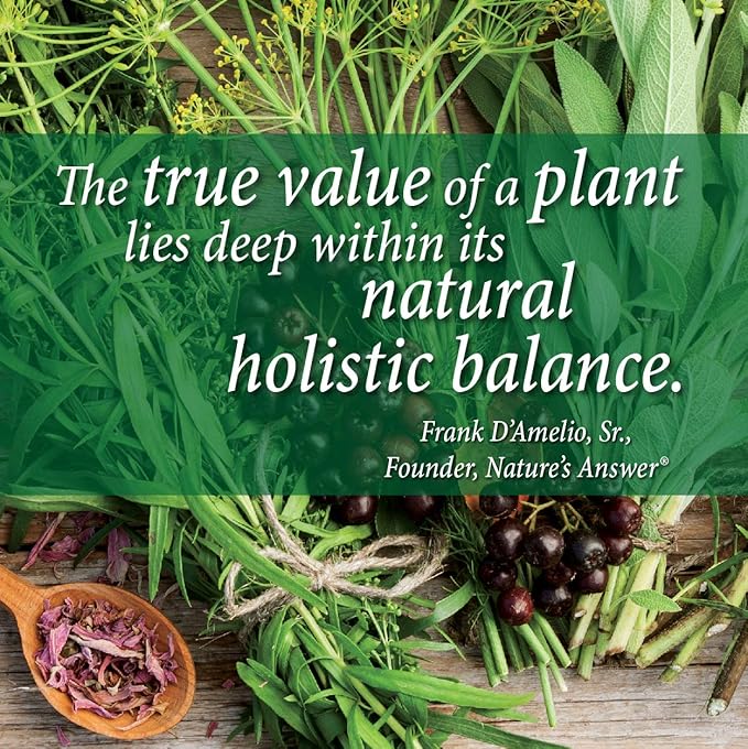 Nature's Answer Periobrite Cinnamint Toothpaste | Soothes & Refreshes | Alcohol-Free, Gluten-Free, Fluoride-Free Soy-Free & Vegetarian | No Artificial Sweeteners or Preservatives 4oz (2 Pack)