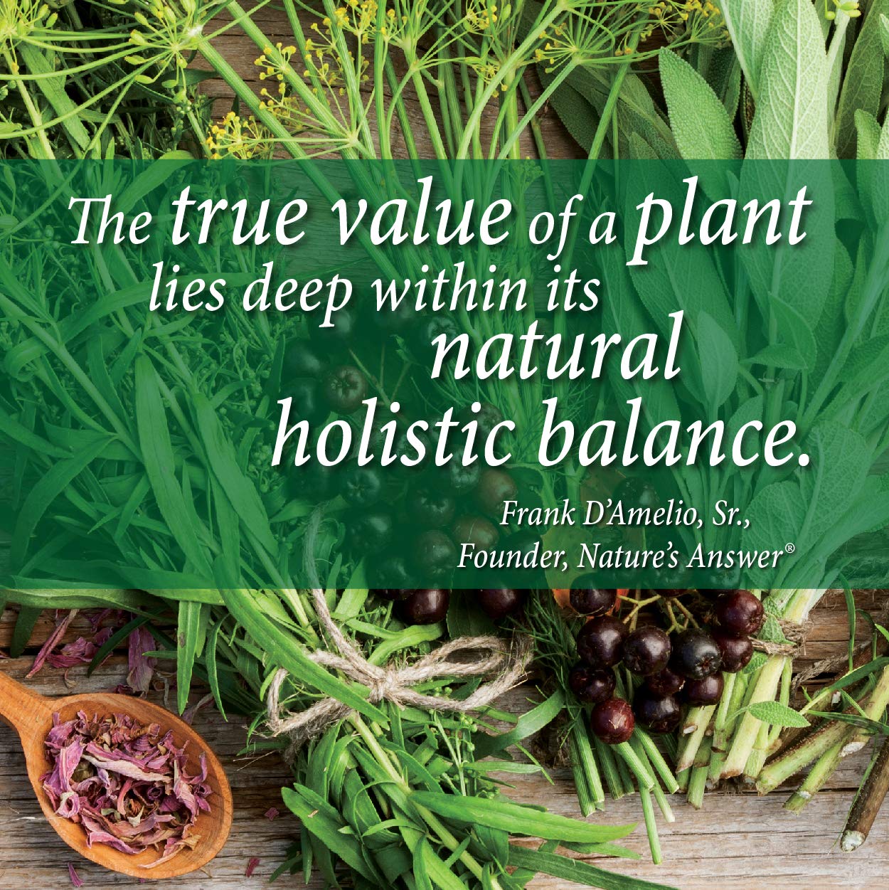 Nature's Answer Periobrite Alcohol-Free Mouthwash, Wintermint, 16 Ounce (2 Pack) | Fluoride Free | Natural Breath Freshener | Stain Remover | Natural Teeth Whitener