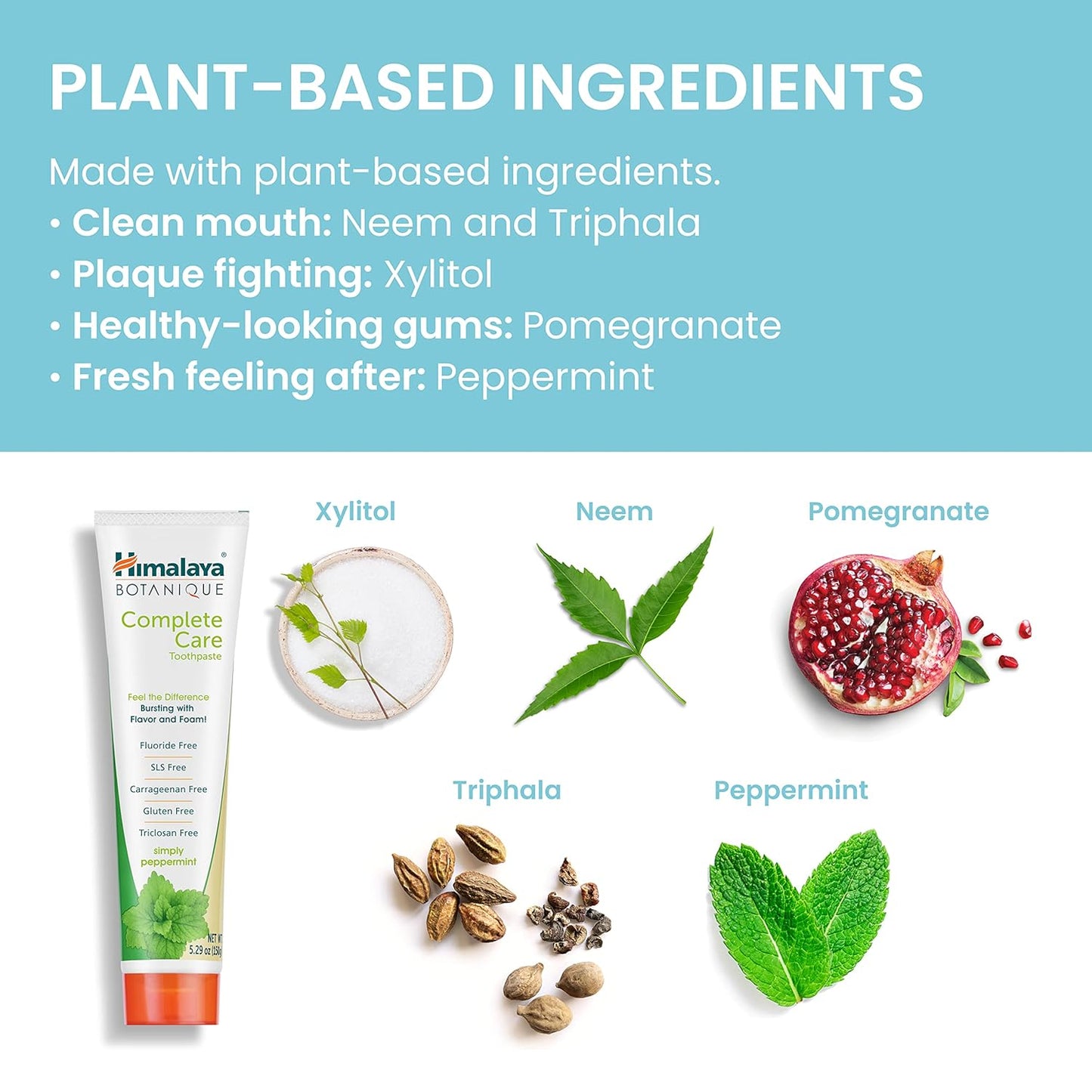 Himalaya Botanique Complete Care Toothpaste, Herbal, Peppermint Flavor, Fights Plaque, Freshens Breath, Fluoride Free, No Artificial Flavors, SLS Free, Cruelty Free, Foaming, 5.29 Oz, 4 Pack…