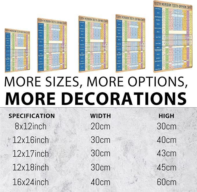 JIUFOTK Dentist Knowledge Posters Metal Signs Tooth Meridian Tooth-Orphan Chart Vintage Plaque Dental Room Decor Club Office Bathroom Wall Decor 12x16 Inches
