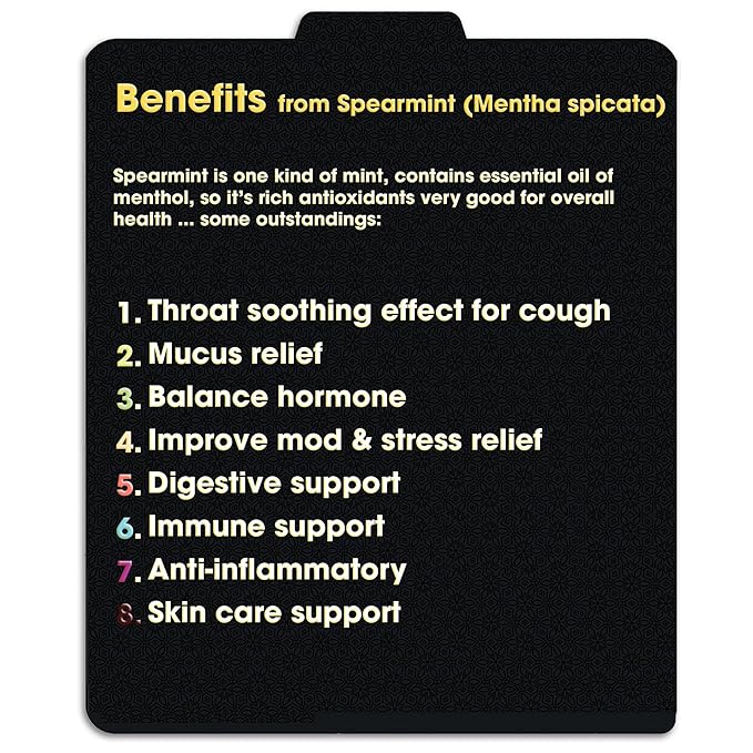 TFATHER Spearmint Tea Bags Pyramid with String - Sweet & Delicate of Menthol - Throat Soothing for Cough & Mucus Relief, Stress Relief, Digestion & Immune Support - Premium Spearmint Leaves