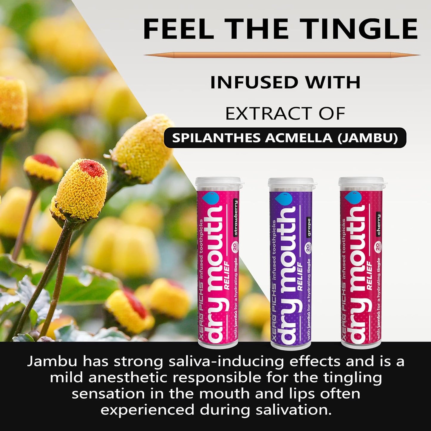 Xero Picks Dry Mouth - Flavor Infused Toothpicks for Long-Lasting Fresh Breath and Dry Mouth Prevention - 60 Picks - 3 Pack - Fruit Variety - Strawberry, Cherry, Grape