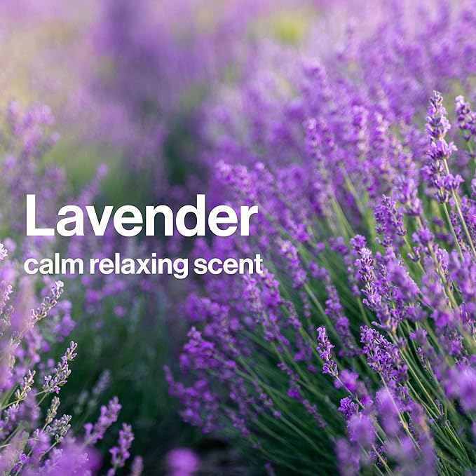 The Honest Company Calm Lavender Bathtime Gift Set and Disney Design Hypoallergenic Bath for Sensitive Baby Skin Shampoo Body Wash Face Lotion Bubble Conditioner Sponge