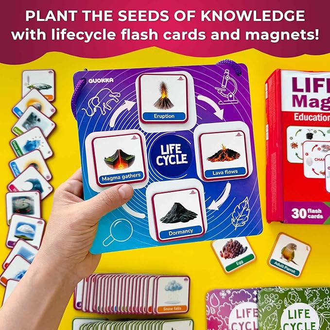 QUOKKA Life CycleToys for Kids - 30 Flashcards Toddler Science Kit Ages 2-4 - Pre-k Plant Animals Nature Learning Materials 3-5 - 120 Magnetic Flash Cards for Preschool and School (Part 2)