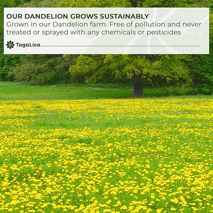 Tagalica, Premium 135 Dandelion Root Tea Bags, 100% Natural & Pure from Dandelion Root, Eco-Conscious Tea Bags, Herbal Tea. No Sugar, No Caffeine, No Gluten, Vegan