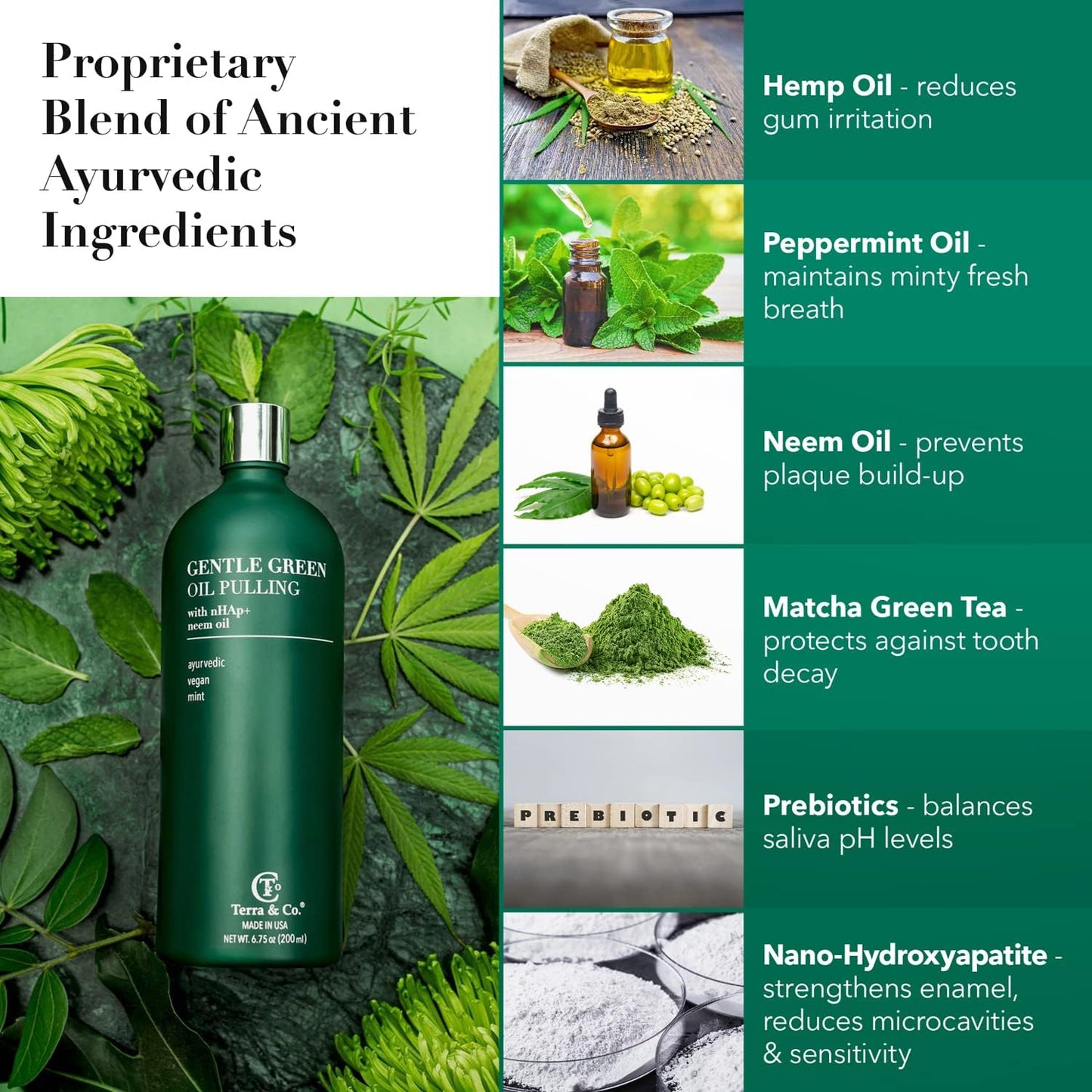 Terra & Co. Gentle Green Oil Pulling for Teeth and Gums - Vegan Natural Mouthwash No Alcohol or Fluoride to Improve Oral Health - Made with Cold Pressed Plant Oils and Nano Hydroxyapatite | 6.75 oz