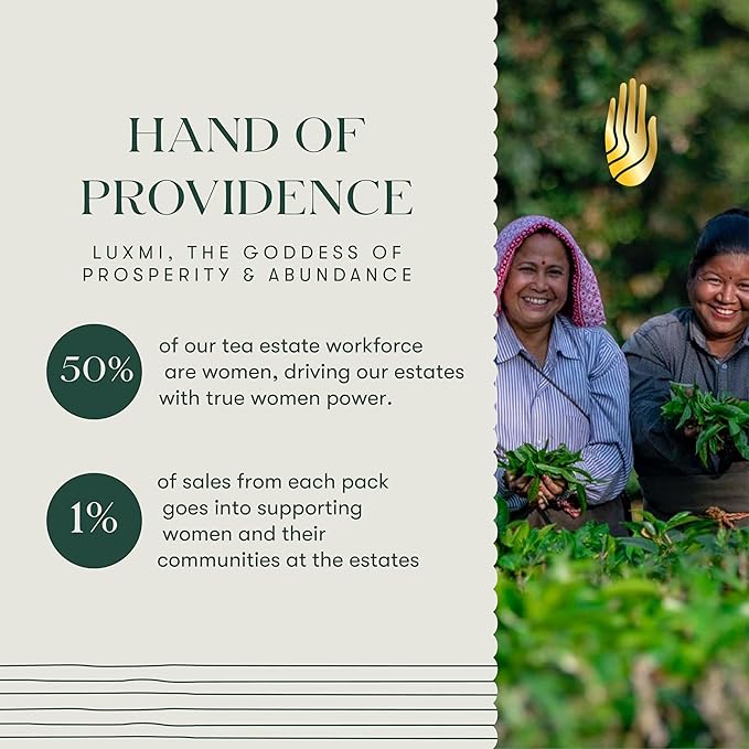 Luxmi Estates Midnight Bloom Organic Jasmine Tea (25 Tea Bags) Mildly Caffeinated Tea Bags For Relaxing, Calming, and Stress Relief, With Certified Organic Darjeeling Makaibari Green Tea