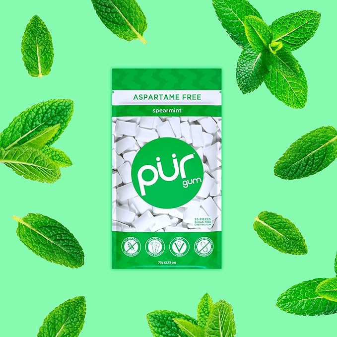 PUR Gum | Aspartame Free Chewing Gum | 100% Xylitol | Natural Spearmint Flavored Gum, 55 Pieces (Pack of 12)