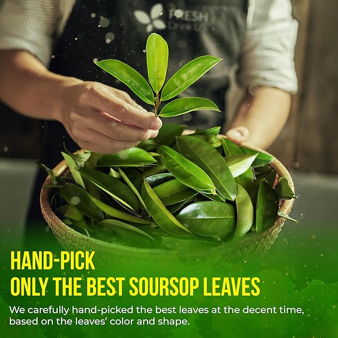 FreshDrinkUS, 75+ Premium Soursop Graviola Dried Leaves Tea, Natural Whole Leaves, Wildcrafted, Hoja De Guanabana, Soursop/Guanabana/Graviola Tea, No Sugar/Gluten/Caffeine/Non GMO, Vegan