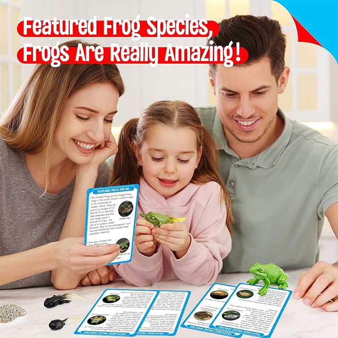 15 Frog Life Circle Flashcards with 5 Plastic Figurines, Frogs Introduction Cards Plastic Insects Tadpole to Frog Kit Toy for Kids, Adults, Animal Lovers