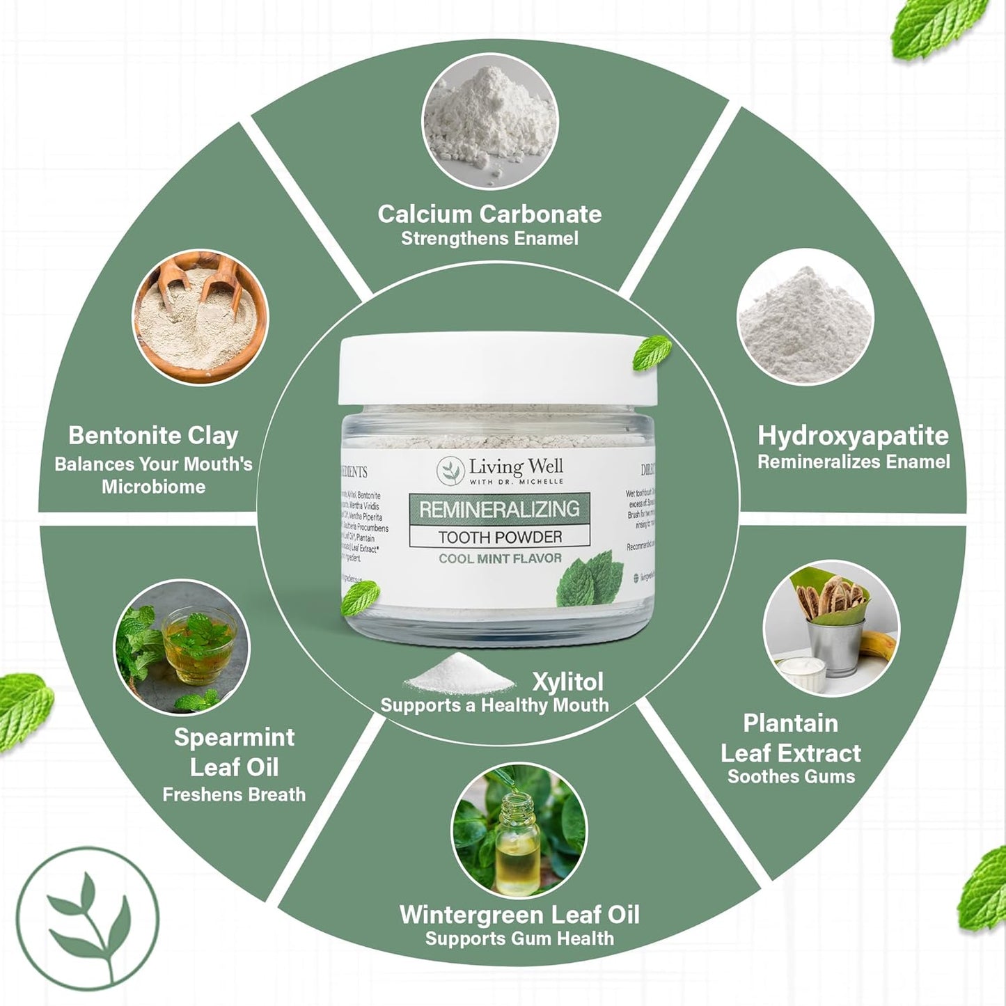 Living Well with Dr. Michelle Remineralizing Tooth Powder | Fluoride-Free Hydroxyapatite Formula | Supports Enamel Strength & Oral Wellness | Safe, Clean Ingredients | Cool Mint Flavor