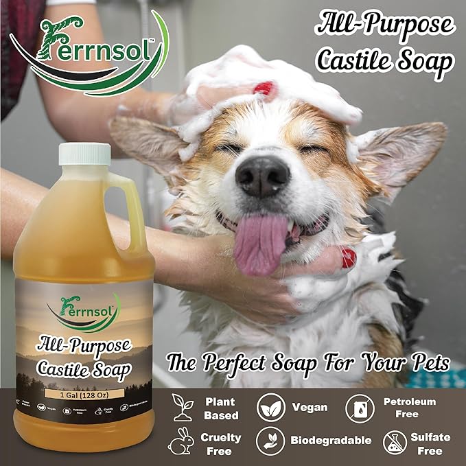 AP Castile Soap Liquid (1 Gallon) – Unscented, Fragrance-Free, Refill – Natural All-Purpose Soap for Home, Hands, and More – Gentle, Non-Toxic formula – 128oz - Made in USA