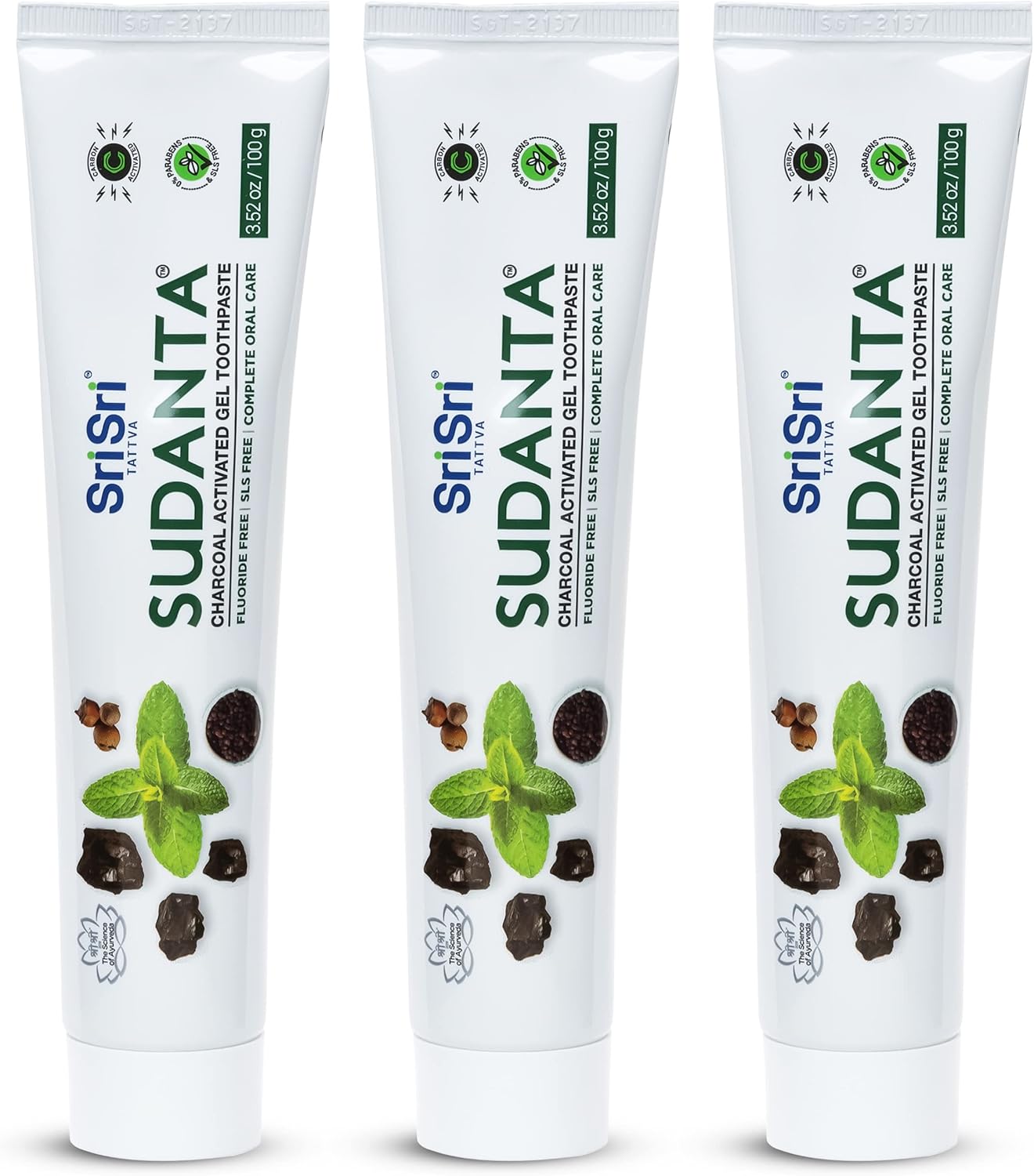 Sri Sri Tattva Sudanta Charcoal Toothpaste Gel – SLS, Fluoride Free Herbal Toothpaste with Neem & Ayurvedic Herbs – Natural Teeth Whitening, Fresh Breath, Oral & Gum Health – 100g Tube (Pack of 3)