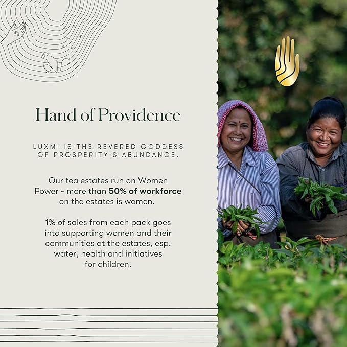 Luxmi Estates Rooibos Chai Organic Rooibos Tea with Spices (50 Tea Bags) Caffeine Free Tea Bags For Relaxing, Calming, and Stress Relief, With Certified Organic Rooibos Tea