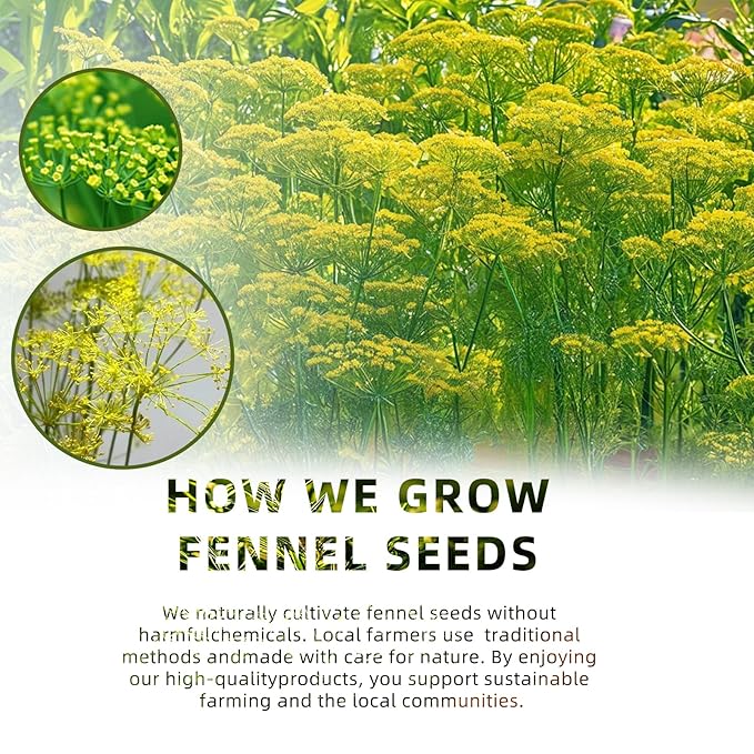 luoptea Fennel tea bags ，Premium Whole Fennel Seeds,100% Natural Material tea bags. Handmade Herbal Tea, Eco-Friendly.No Suger，No Caffeine，vegan(30bags)