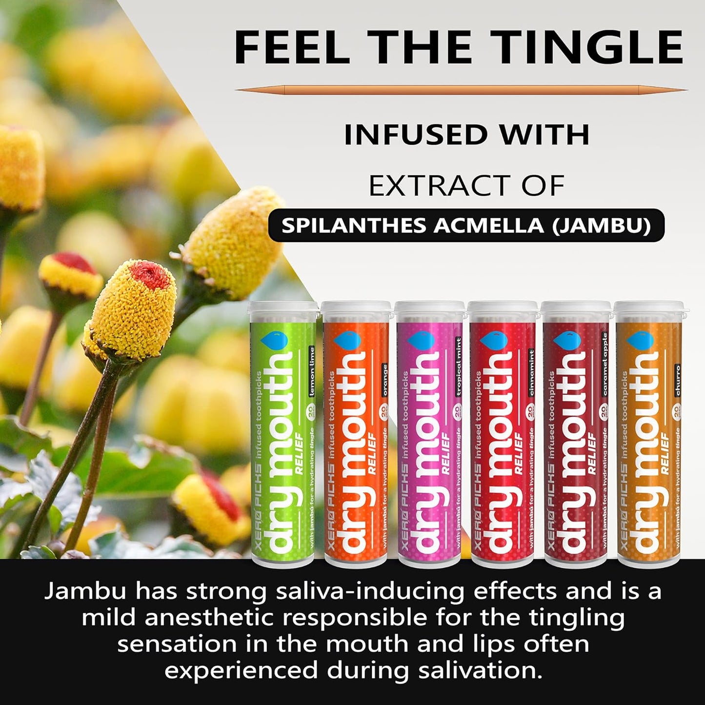 Xero Picks Dry Mouth - Infused Flavored Toothpicks for Long Lasting Fresh Breath & Dry Mouth Prevention (Variety 6 Pack)