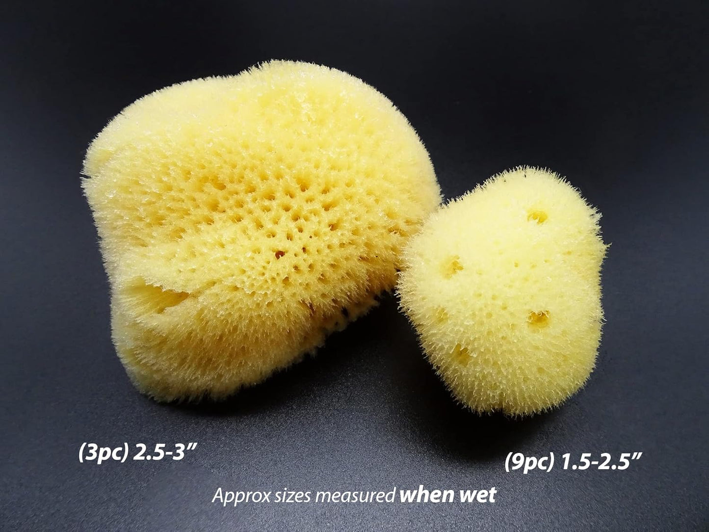 Natural Sea Silk Sponges 12pk: Size 9pc x1.5-2.5" 3pc x 2.5"-3", Like Cotton Balls, for Cosmetic Use, Makeup Application & Removal, Face & Eye Cleaning, with Luxury Gift Bag by Constantia Beauty®