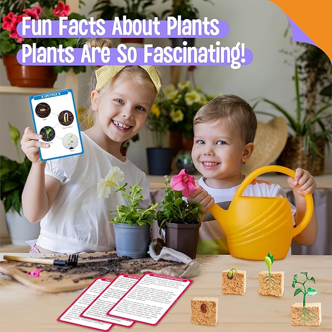 15 Plant Life Circle Flashcards with 4 Plastic Figurines-Seed to Plant, Plants Introduction Card Plants Growth Details for Nature Lovers & Adults, Montessori Toy for Kids