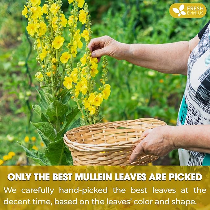 FreshDrinkUS, Premium 25 Mullein Leaf Tea For Lungs, Lung Detox For Smokers, Handmade, 100% Natural & Pure, Mullein Tea, No Sugar, No Caffeine, No Gluten, Vegan