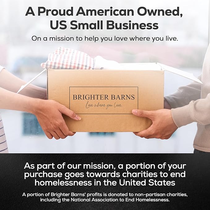 Luxury Glass Hand and Dish Soap Dispenser Set by Brighter Barns - Kitchen Soap Dispenser Set with Tray for Kitchen, Home or Restaurant - Modern Farmhouse Kitchen Decor (Black/White)