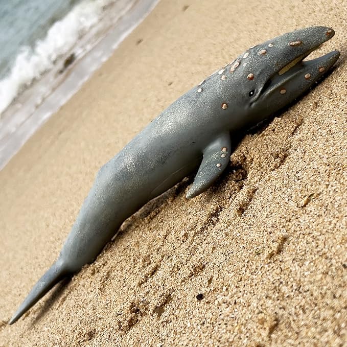Gemini&Genius Sea Animal Gray Whale, Large Grey Whale Realistic Wildlife Toy Replica Hand Painted Whale Figurine, Ocean Model Toy, Educational, Role Play, Swim, Bath and Collectors for Kids