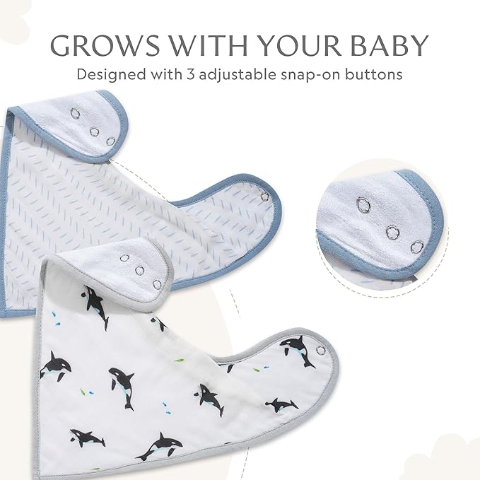 Bamboo Little Baby Bibs (Pack of 2) - Bibs with Adjustable Snaps- Absorbent Terry Backing