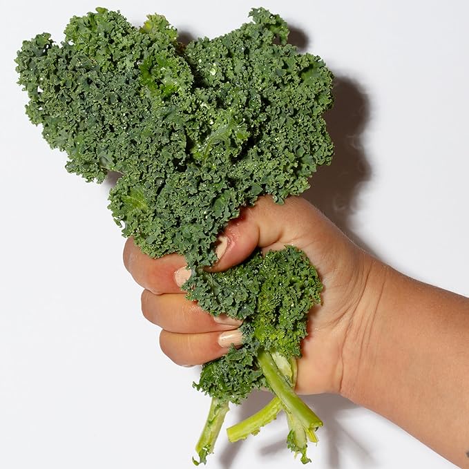 Pacifica Kale Smoothie Face Lotion, Refining Skincare, Face Moisturizer, Niacinamide, Vitamin C and E, Minimize Pores, Face Serum, For All Skin Types, Oily, Combination, Vegan, 1.7 fl oz (1 Count