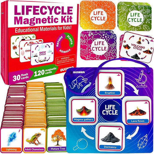 QUOKKA Life CycleToys for Kids - 30 Flashcards Toddler Science Kit Ages 2-4 - Pre-k Plant Animals Nature Learning Materials 3-5 - 120 Magnetic Flash Cards for Preschool and School (Part 2)