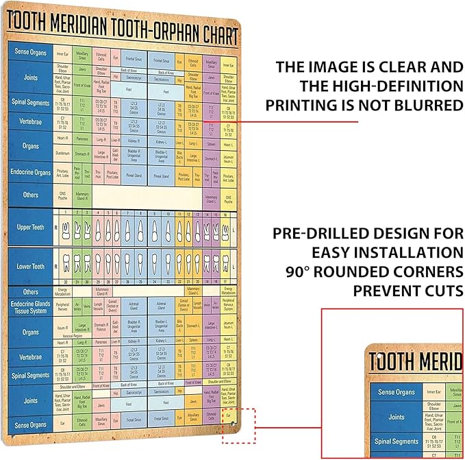 JIUFOTK Dentist Knowledge Posters Metal Signs Tooth Meridian Tooth-Orphan Chart Vintage Plaque Dental Room Decor Club Office Bathroom Wall Decor 12x16 Inches