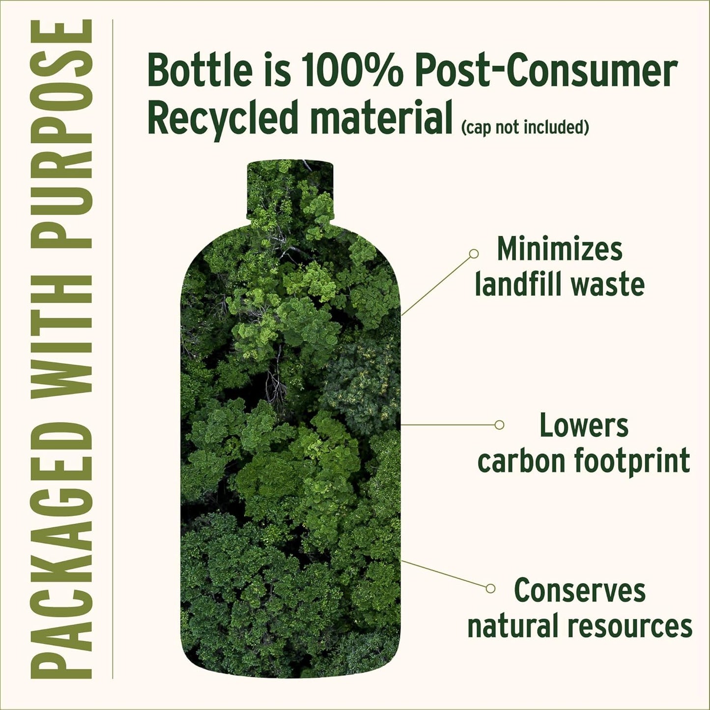 Banyan Botanicals Mint Daily Swish – Organic Ayurvedic Pulling Oil with Coconut Oil – Mouthwash for Fresh Breath and Sparkling Oral Health* – 24 oz – Non GMO Sustainably Sourced Vegan