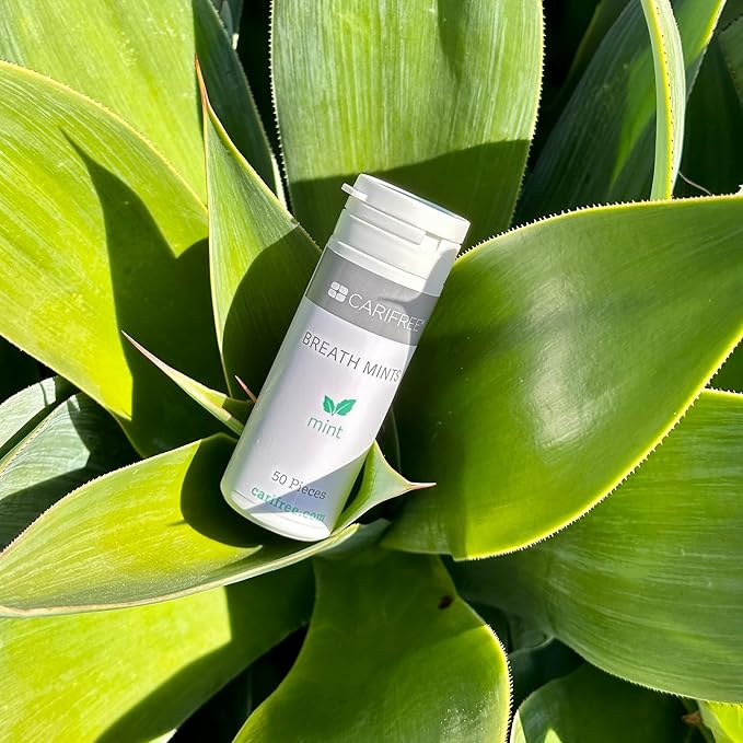 CariFree Breath Mints, Hydroxyapatite and Xylitol, Sugar-Free, pH Elevating, Delicious & Refreshing, Convenient On-The-Go, Travel Size, 6 Tubes Per Box (50 ct. each)