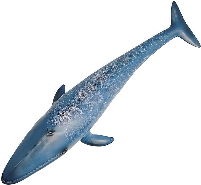 Gemini&Genius Blue Whale Sea Animal Action Figure, Ocean Shark Whale Model Toy, Educational, Role Play, Swim, Beach, Bath and Collectors for Kids