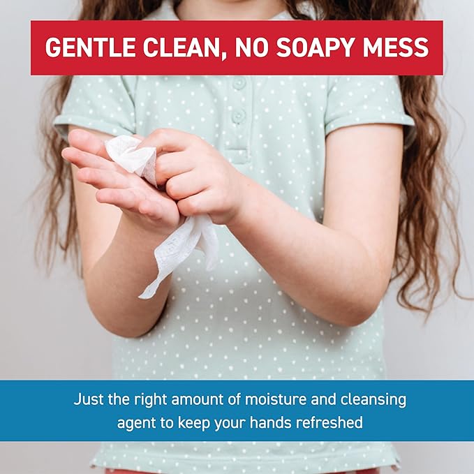 WipeEssentials Hand Sanitizer Hand Wipes for Adults and Kids - 90 wipes - 3 Packs of 30ct Hand Sanitizing Wipes, Travel Essentials