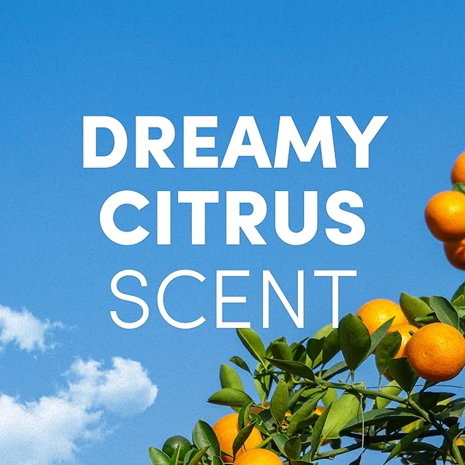 Clean Revolution Ready to Use Foaming Hand Soap | Three Pack | Jumbo 15oz Bottles | Gentle, Moisturizing & Eco-Friendly | Real Essential Oils | Dreamy Citrus, 15 Fl Oz (Pack of 3)