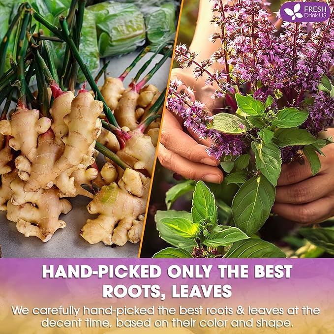 FreshDrinkUS Premium 75 Ginger Tulsi Tea Bags, 100% Natural, Hand-made Blend of Ginger and Tulsi Holy Basil Leaves, Eco-conscious Tea Bags. No Sugar, No Caffeine, Vegan