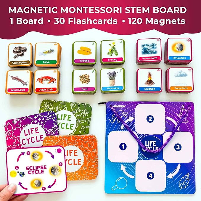 QUOKKA Life CycleToys for Kids - 30 Flashcards Toddler Science Kit Ages 2-4 - Pre-k Plant Animals Nature Learning Materials 3-5 - 120 Magnetic Flash Cards for Preschool and School (Part 2)