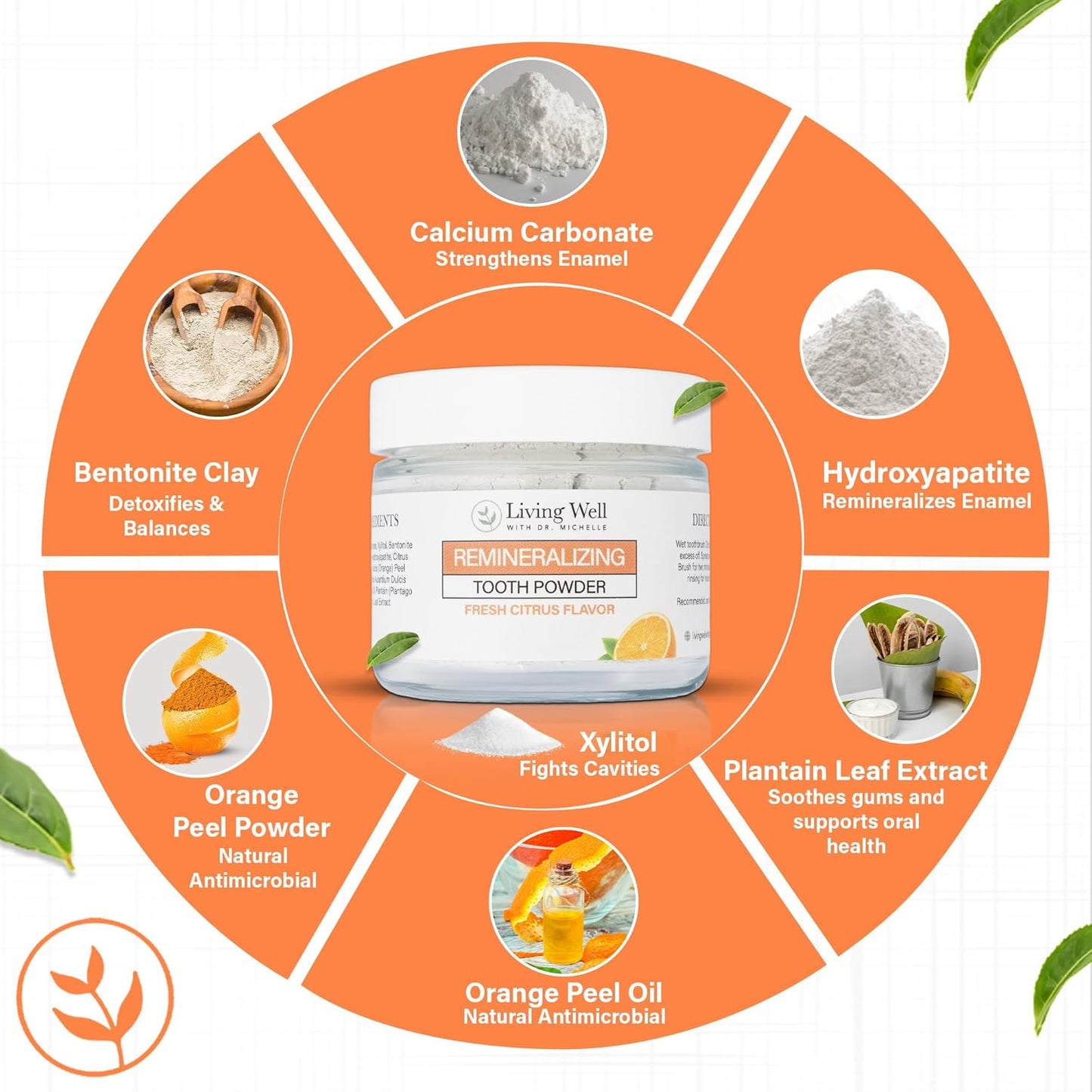 Living Well with Dr. Michelle Fresh Citrus Remineralizing Tooth Powder | Fluoride-Free Kids & Adults Formula | Hydroxyapatite for Enamel Support | Natural Ingredients for Stronger Smiles