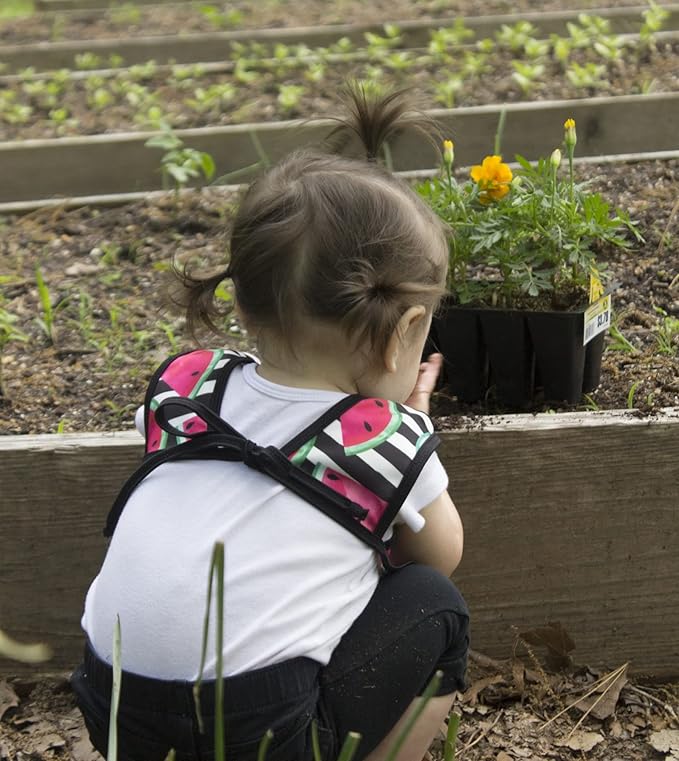 BapronBaby Watermelon Stripes Bapron - No Neck Tie Safer Bib for Baby & Toddler - Soft Waterproof Stain Resistant - Machine Washable - Sz Baby/Toddler 6m-3T