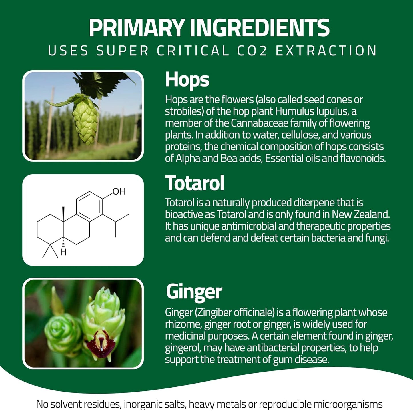 Oral Rinse Spray for Gum Disease and Gingivitis Treatment for Adults - 50ml 142 Servings - Alcohol Free Natural Alternate of Toothpaste with Ginger and Totarol - Bleeding Gums Treatment