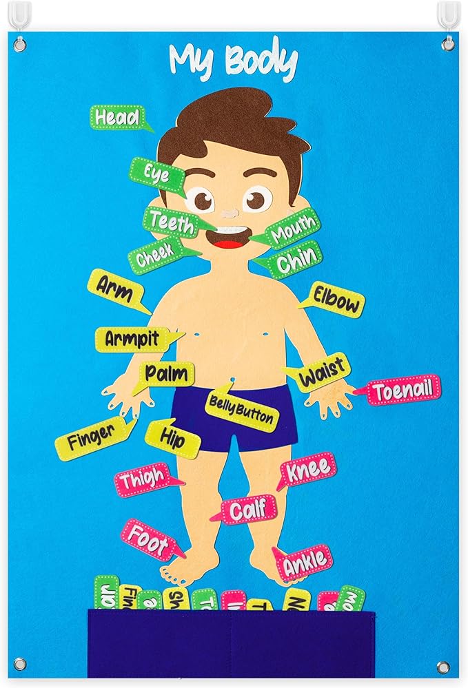 WATINC 35Pcs Body Parts Learning Felt Story Board Set Preschool Human Organ Educational Teaching Storytelling Early Learning Interactive Play Kit Wall Hanging Gift for Toddlers Kids 41 x 30 Inch