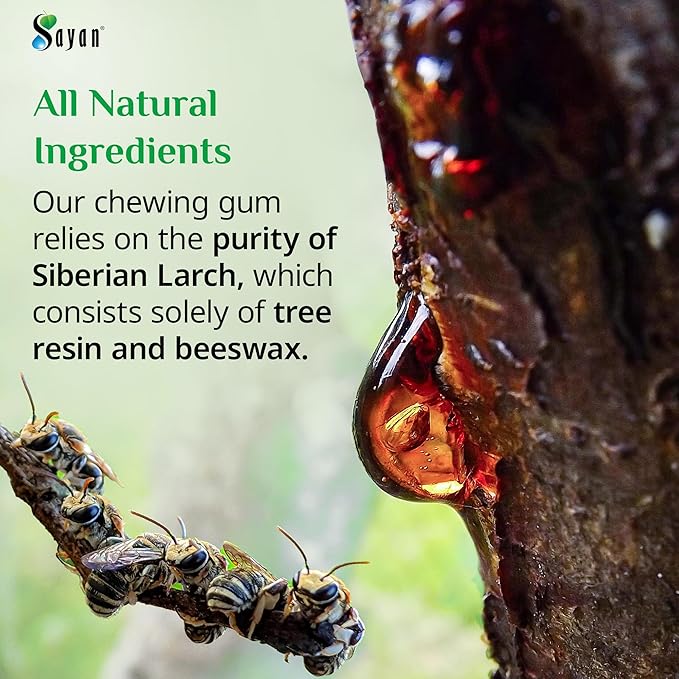 Sayan Sugar-Free All Natural Siberian Larch Tree Resin and Beeswax Chewing Gum – 6 Packs (96 Pieces) for Fresh Breath – Vegetarian, Non-GMO, Gluten Free, Aspartame Free, No Preservatives