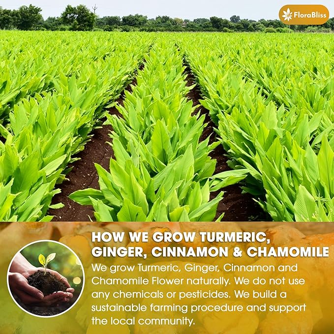 FloraBliss 50 Bags Premium Turmeric Ginger Cinnamon Tea with Upgraded Chamomile, Extra Strength 2.2g/Bag, 100% Natural, Caffeine-Free, Vegan, Eco-Friendly, Supports Digestion, Relaxation