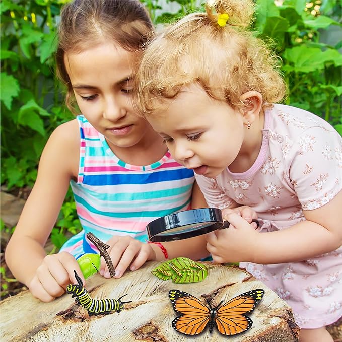 15 Butterfly Life Circle Flashcards with 4 Plastic Figurines, Butterflies Introduction Cards Plastic Insects Egg to Butterfly Kit Toy for Kids, Adults, Animal Lovers