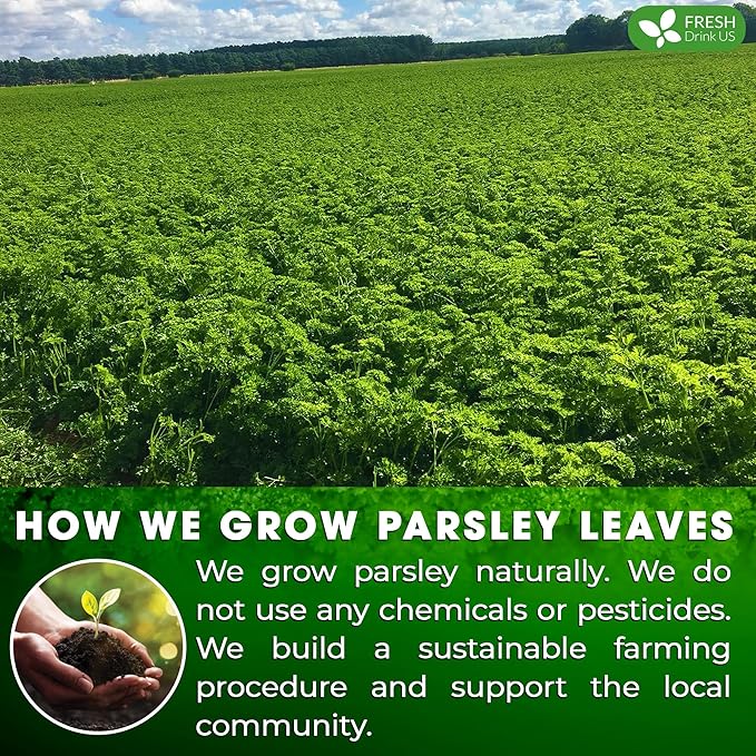 FreshDrinkUS, Premium 35 Parsley Leaf Tea Bags, 100% Natural & Pure from Parsley Leaves. Loose Leaf Parsley Herbal Tea. Made with Natural Material Tea Bags. No Sugar, No Caffeine, No Gluten, Vegan.