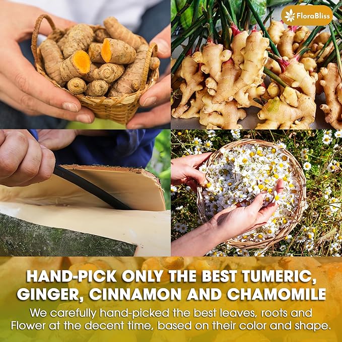 FloraBliss 50 Bags Premium Turmeric Ginger Cinnamon Tea with Upgraded Chamomile, Extra Strength 2.2g/Bag, 100% Natural, Caffeine-Free, Vegan, Eco-Friendly, Supports Digestion, Relaxation