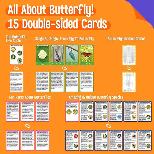 15 Butterfly Life Circle Flashcards with 4 Plastic Figurines, Butterflies Introduction Cards Plastic Insects Egg to Butterfly Kit Toy for Kids, Adults, Animal Lovers