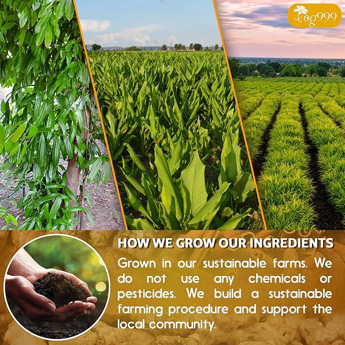 TOG999, 10 Turmeric, Ginger, Cinnamon Tea Bags, 100% Natural, Hand-made Blend of Turmeric, Ginger, and Cinnamon. Eco-conscious Tea Bags. No Sugar, No Caffeine, No Gluten, Vegan.