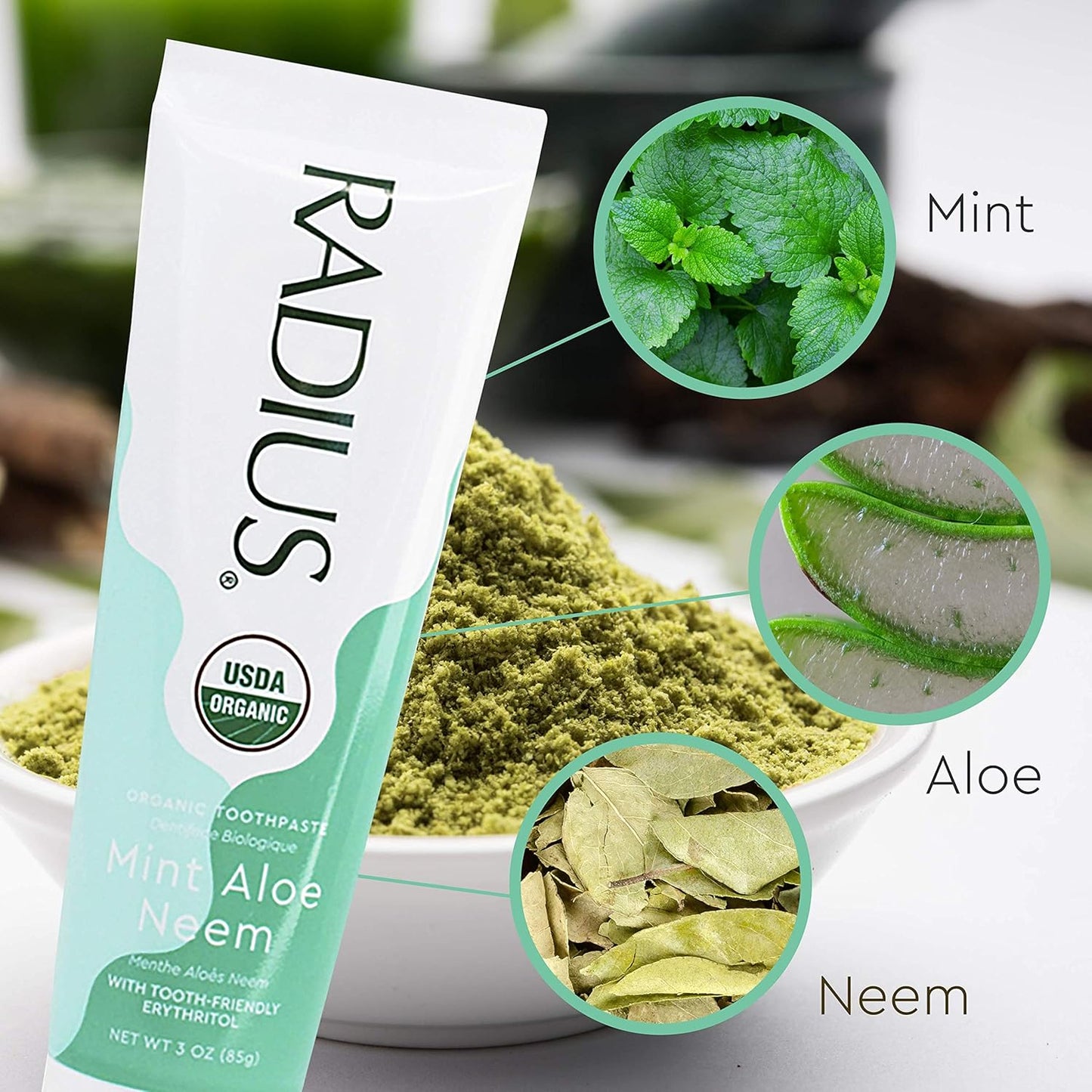 Radius Toothpaste, Mint Aloe Neem, 3 oz, USDA Organic Non-Toxic Chemical-Free Gluten-Free, Designed to Improve Gum Health & Prevent Cavities, Pack of 6
