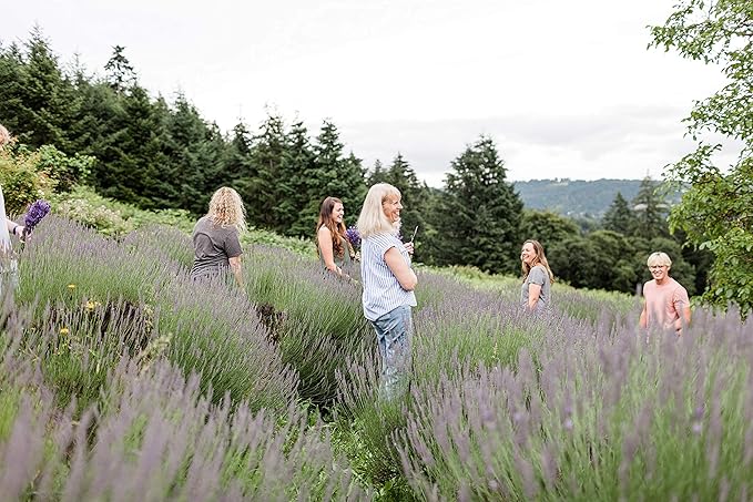Victoria's Lavender Natural Body Products Gift Set - Handmade Soap, Hand & Body Lotion, Lip Balm, Body Candle Skin Care Set & Kit, Made in USA Lavender Bath & Body Products for Women, Lavender Currant