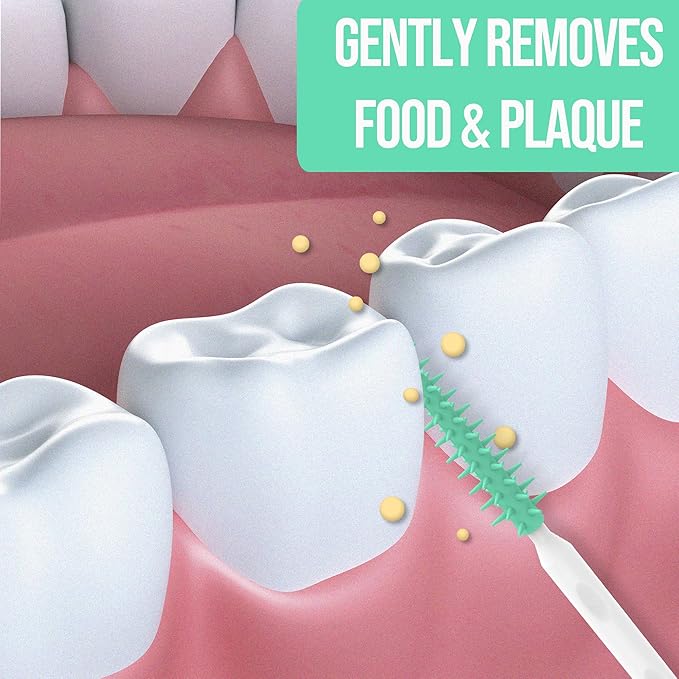 Dr. Emma Brush Picks Rubberized Mint Brush Picks, 2 Packs, 100 Picks/Pack